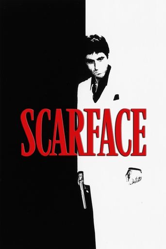 Watch Scarface 1983 Online Gomovies123 Watch Scarface 1983 Online Gomovies123