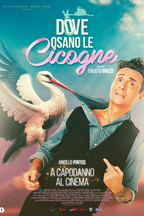 Where Storks Dare (2025)